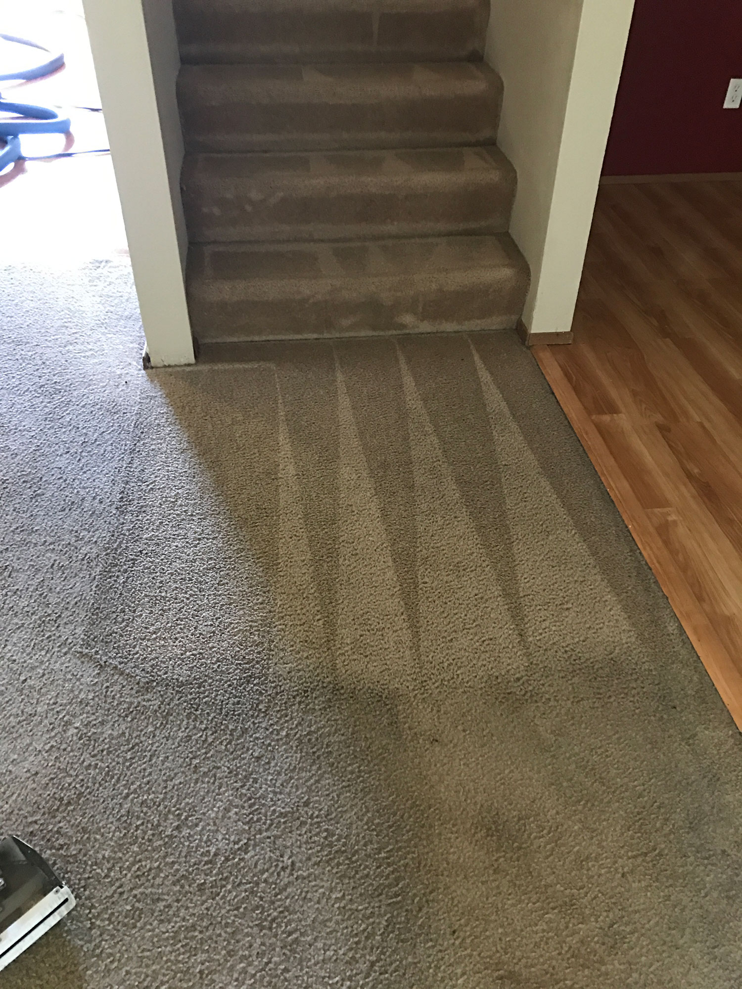 Dons Carpet Cleaning Gig Harbor
