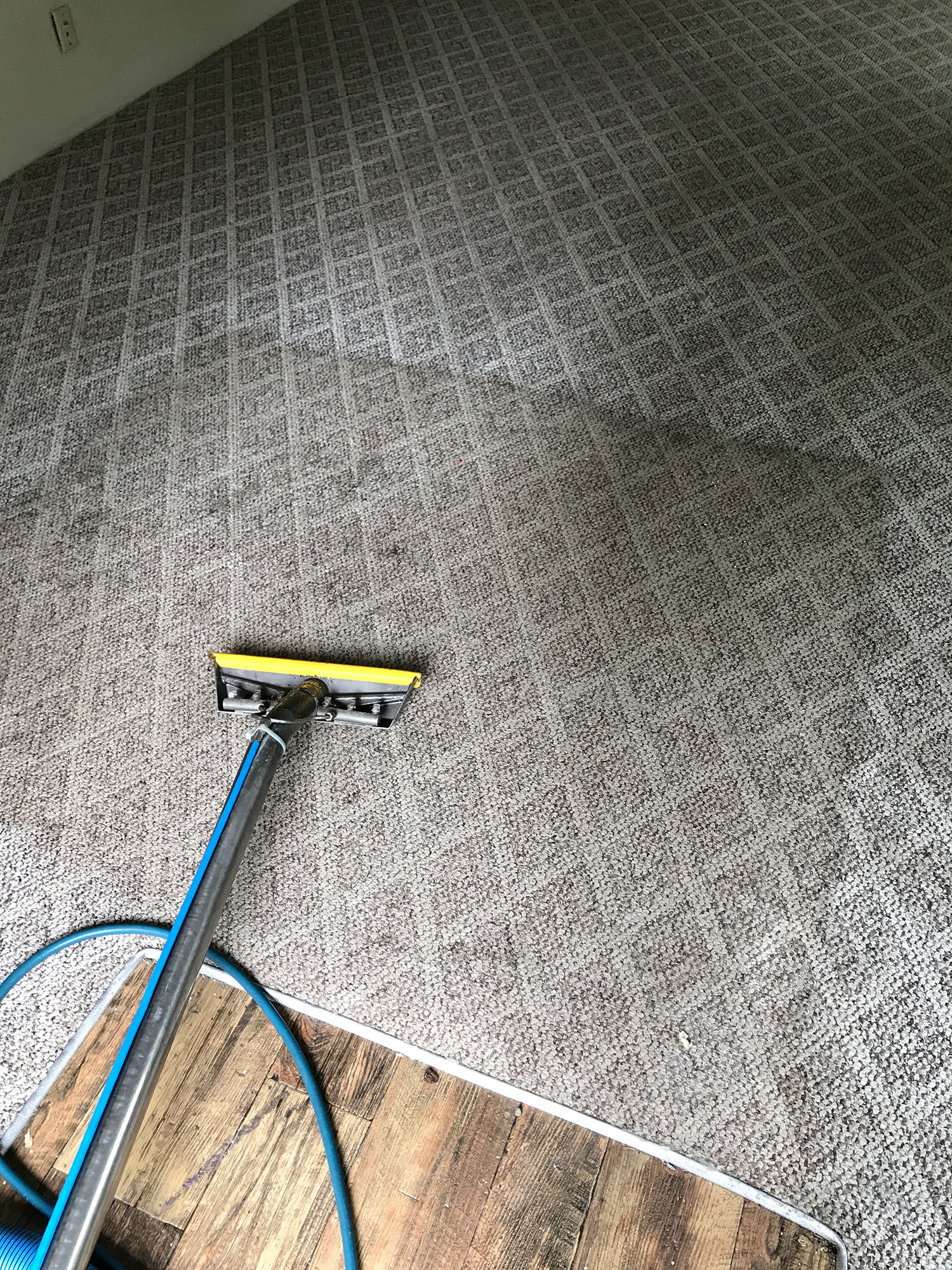 Dons Carpet Cleaning North Mason County
