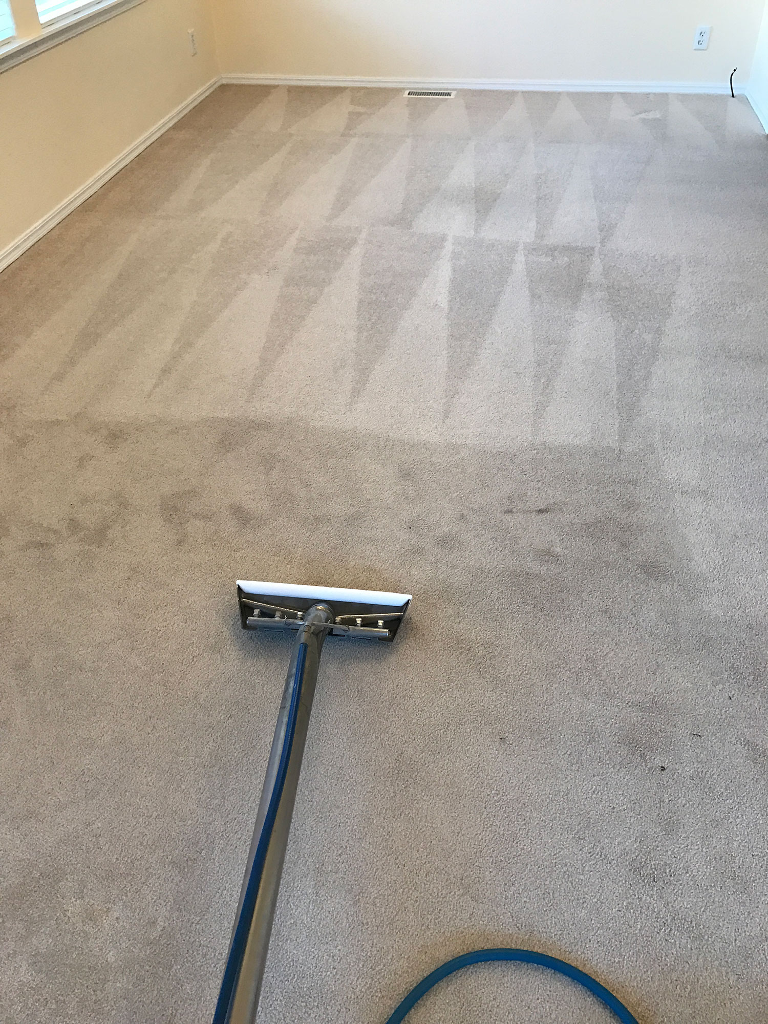 Dons Carpet Cleaning Kitsap Peninsula
